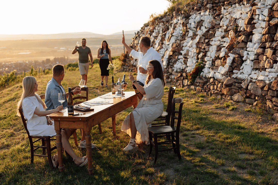 Weingut Korrell Weinberg