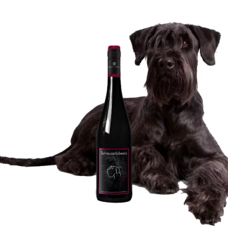 Schnauzer Wein Schnauzer Schwarz
