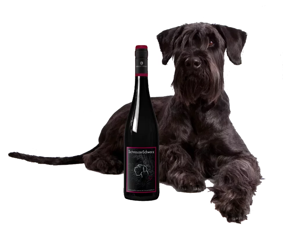 Schnauzer Wein Schnauzer Schwarz
