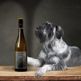 SchnauzerWein Ein Schnauzer liegt neben einer Weinflasche auf einem Holztisch mit einer grauen Wand im Hintergrund.