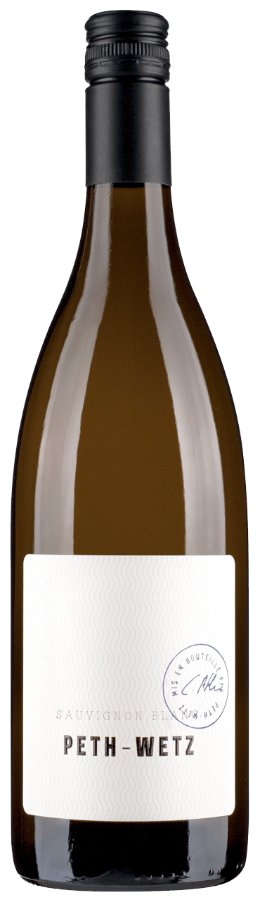 Weingut Peth-Wetz BIO Sauvignon Blanc, Rheinhessen, 2025