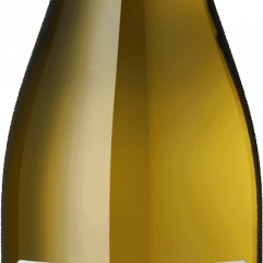 Weingut Peth-Wetz BIO Grauburgunder, Rheinhessen, 2025